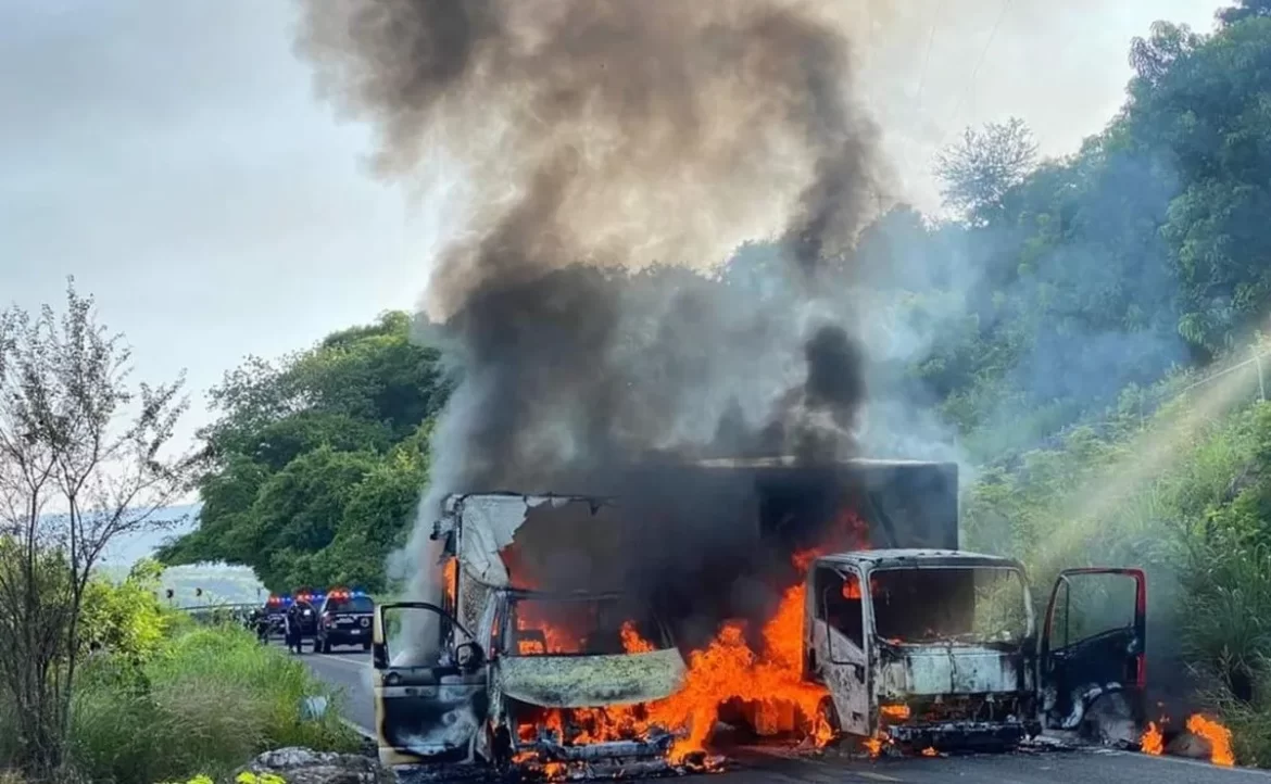 narcosbloquoes_crop1626117486994.jpg_242310155